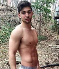 bull